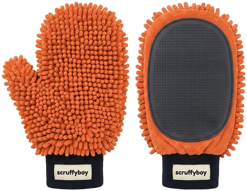 the mitt